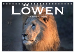 Cover-Bild zum Titel 'Löwen. Die Könige Afrikas (Tischkalender 2026 DIN A5 quer), CALVENDO Monatskalender' von 'Robert Styppaa'