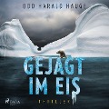 Cover-Bild zum Titel 'Gejagt im Eis - Thriller' von 'Odd Harald Hauge'