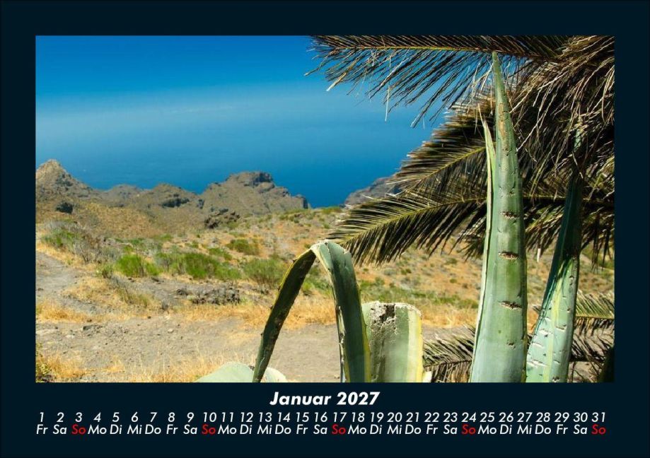 InsideView 5