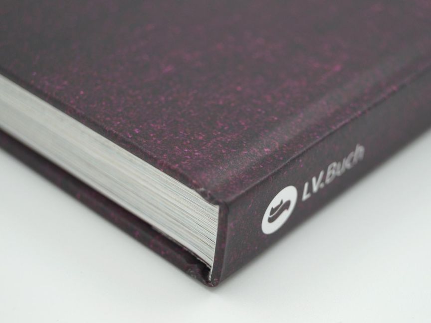 InsideView 5