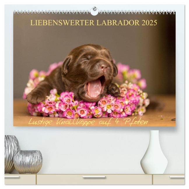 Liebenswerter Labrador 2025 (hochwertiger Premium Wandkalender 2025 DIN A2 quer), Kunstdruck in Hochglanz - Annett Mirsberger
