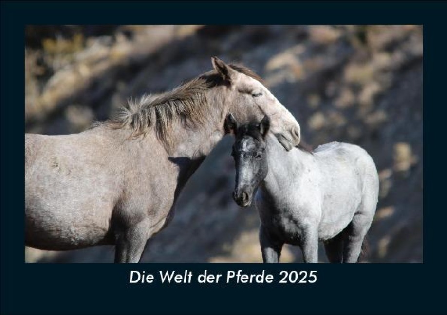 Die Welt der Pferde 2025 Fotokalender DIN A5 - Tobias Becker