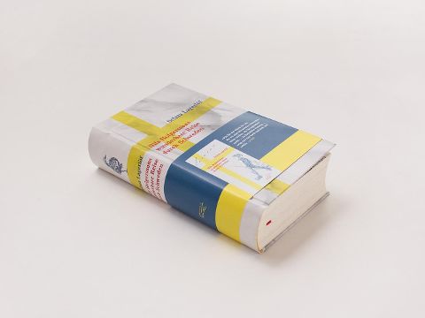 InsideView 1
