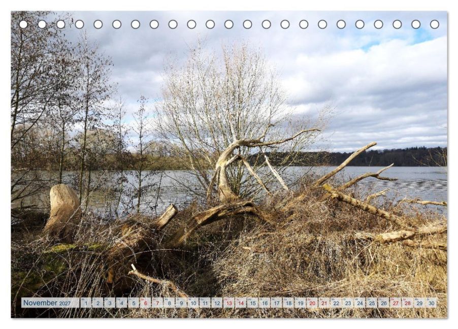 InsideView 3
