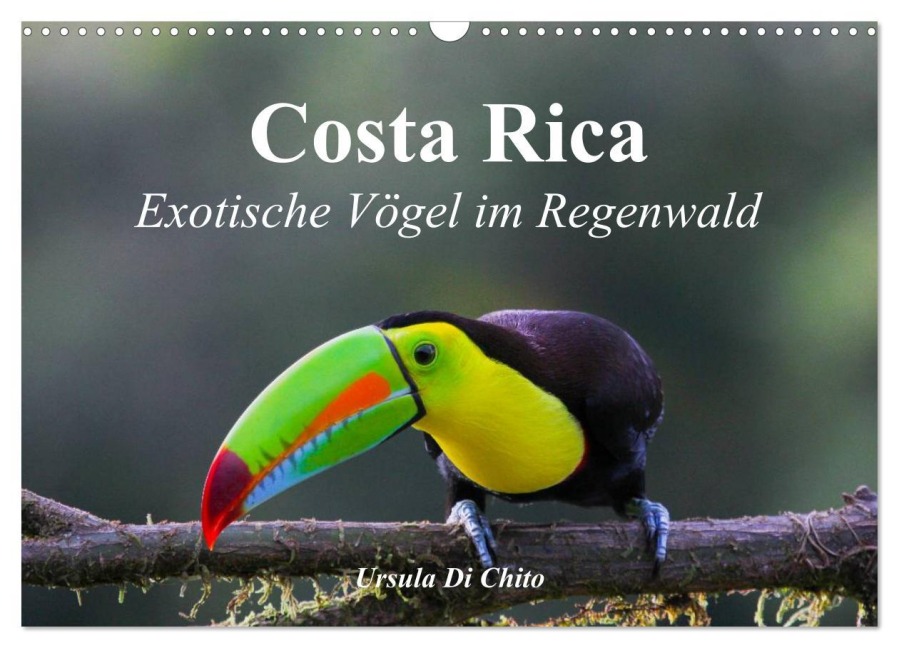 Costa Rica - Exotische Vögel im Regenwald (Wandkalender 2026 DIN A3 quer), CALVENDO Monatskalender - Ursula Di Chito