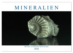 Mineralien (Wandkalender 2026 DIN A2 quer), CALVENDO Monatskalender - Ralf Eckert