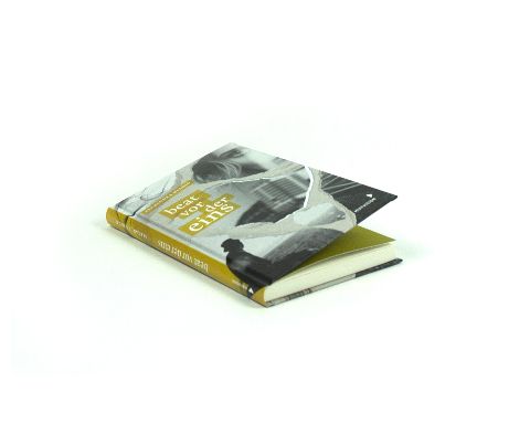 InsideView 3