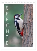 Cover-Bild zum Titel 'Spechte (Wandkalender 2026 DIN A4 hoch), CALVENDO Monatskalender' von 'Gerald Wolf'