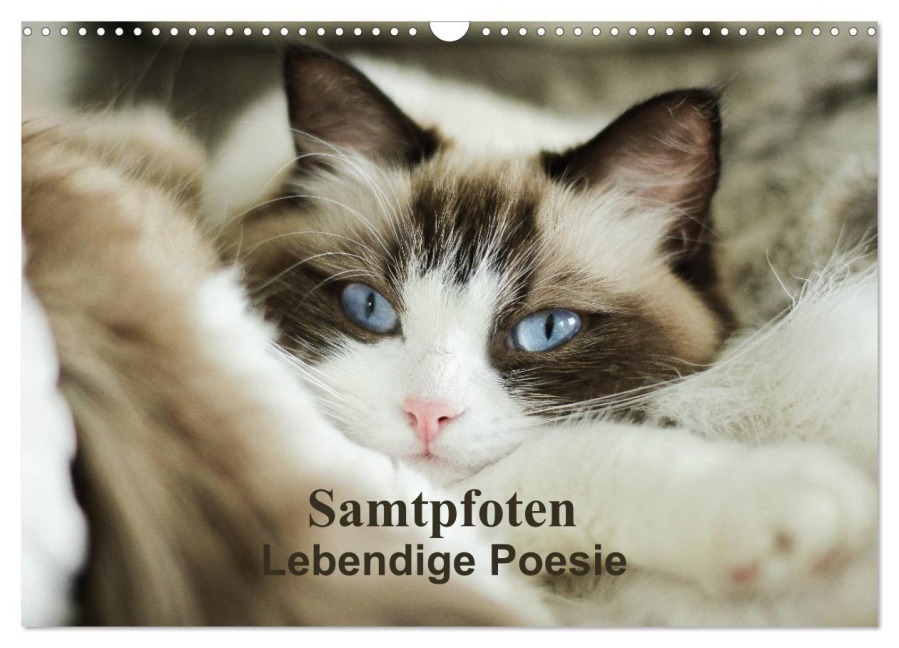 Samtpfoten Lebendige Poesie (Wandkalender 2027 DIN A3 quer), CALVENDO Monatskalender - Marion Reiß-Seibert
