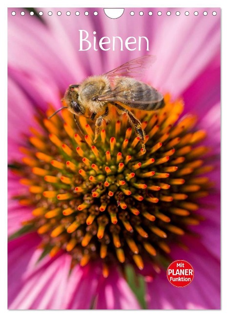 Bienenplaner (Wandkalender 2025 DIN A4 hoch), CALVENDO Monatskalender - Mark Bangert