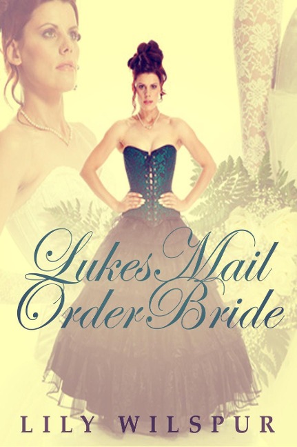 Luke's Mail Order Bride (Montana Mail Order Brides, #5) - Lily Wilspur