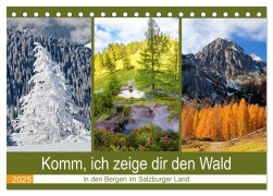 Komm, ich zeige dir den Wald (Tischkalender 2025 DIN A5 quer), CALVENDO Monatskalender - Christa Kramer