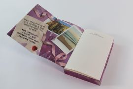 InsideView 5