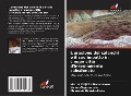 Cover-Bild zum Titel 'L'erosione dei calanchi e il suo impatto in cinque città d'insediamento selezionate' von 'Martin Chijioke Nwachukwu, Vivian Okparanozie, Chikwado Godwin Aleke'