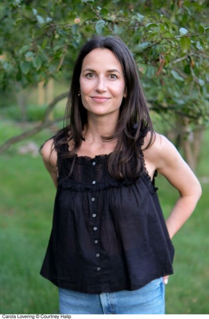 InsideView 6
