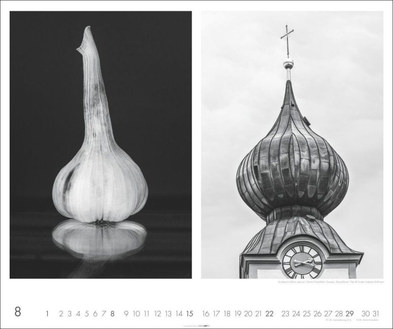 InsideView 8