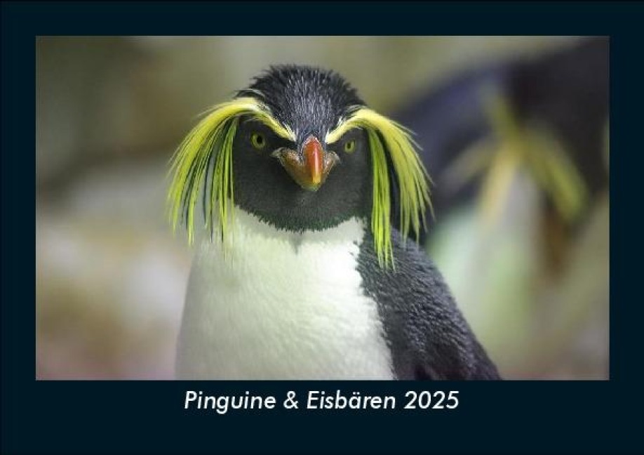 Pinguine & Eisbären 2025 Fotokalender DIN A5 - Tobias Becker