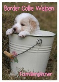 Border Collie Welpen - Familienplaner (Wandkalender 2025 DIN A2 hoch), CALVENDO Monatskalender - Antje Lindert-Rottke