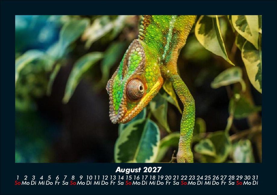 InsideView 12