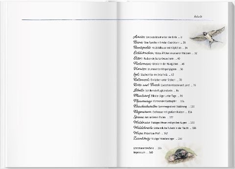 InsideView 7