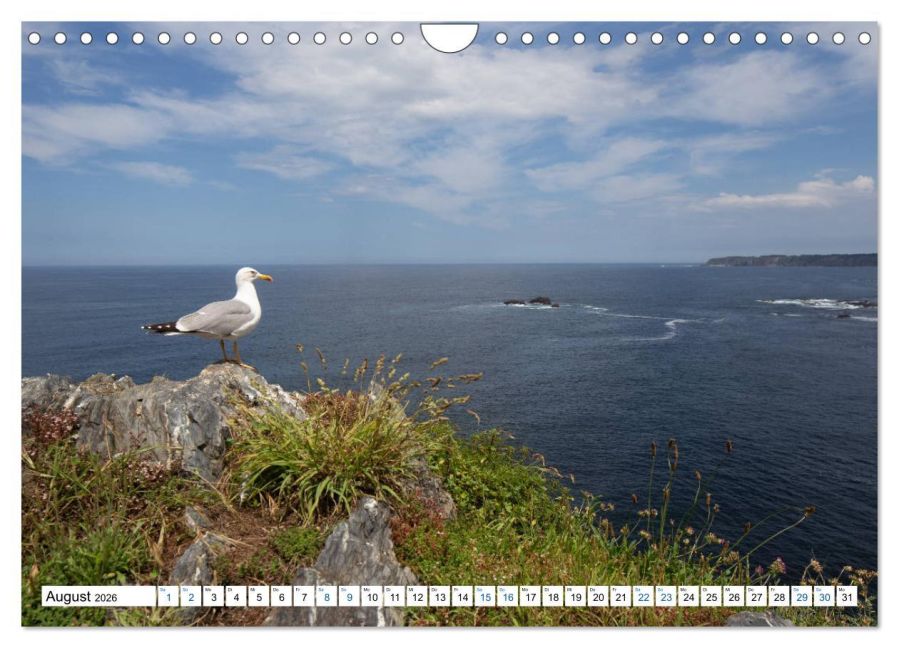 InsideView 13