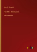 Cover-Bild zum Titel 'Pandolfo Collenuccio' von 'Antonio Manaresi'