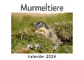 Murmeltiere (Wandkalender 2024, Kalender DIN A4 quer, Monatskalender im Querformat mit Kalendarium, Das perfekte Geschenk) - Anna Müller