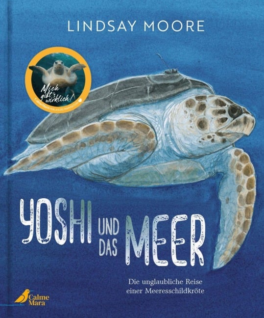 Yoshi und das Meer