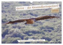 Cover-Bild zum Titel 'Geier - die Gesundheitspolizei! (Wandkalender 2026 DIN A3 quer), CALVENDO Monatskalender' von 'Sabine Bengtsson'