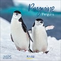 Pinguine 2025 - 