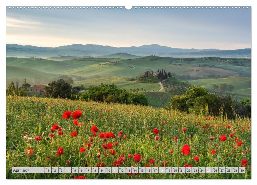 InsideView 8