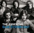 Cover-Bild zum Titel 'The Essential Blue Öyster Cult' von 'Blue Öyster Cult'