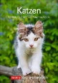 Katzen Wochenplaner 2025 - 53 Blatt mit Zitaten und Wochenchronik - Thomas Huhnold