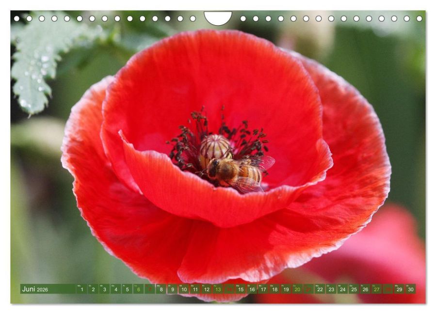 InsideView 11
