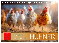 Cover-Bild zum Titel 'Hühner - gefiedert durchs Jahr (Wandkalender 2026 DIN A4 quer), CALVENDO Monatskalender' von 'Roder Roder'