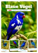 Cover-Bild zum Titel 'Blaue Vögel (Wandkalender 2026 DIN A2 hoch), CALVENDO Monatskalender' von 'Steffani Lehmann'