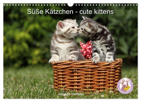 Süße Kätzchen - cute kittens (Wandkalender 2025 DIN A3 quer), CALVENDO Monatskalender - Jeanette Hutfluss