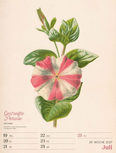 InsideView 33