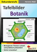 Cover-Bild zum Titel 'Tafelbilder Botanik' von 'Hermine Wabl'