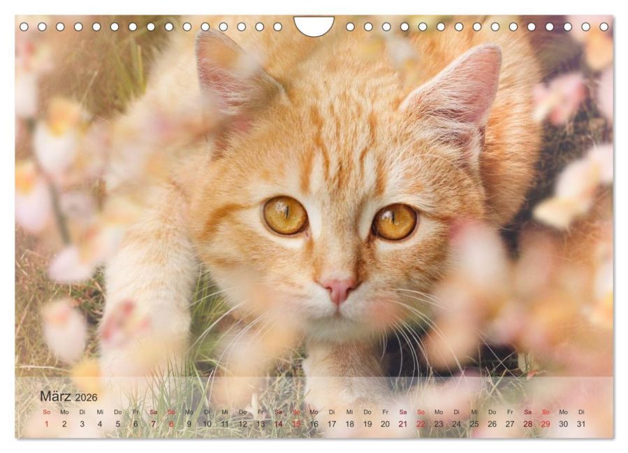 InsideView 8
