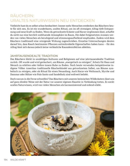 InsideView 23
