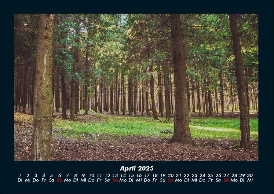 InsideView 8