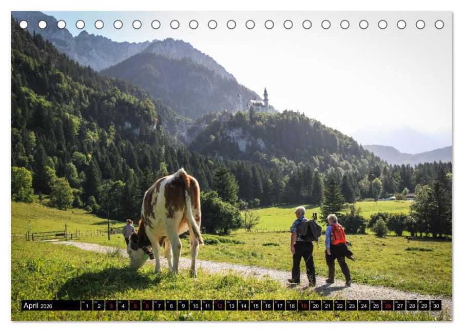 InsideView 9