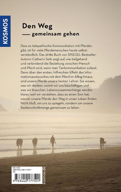 InsideView 6
