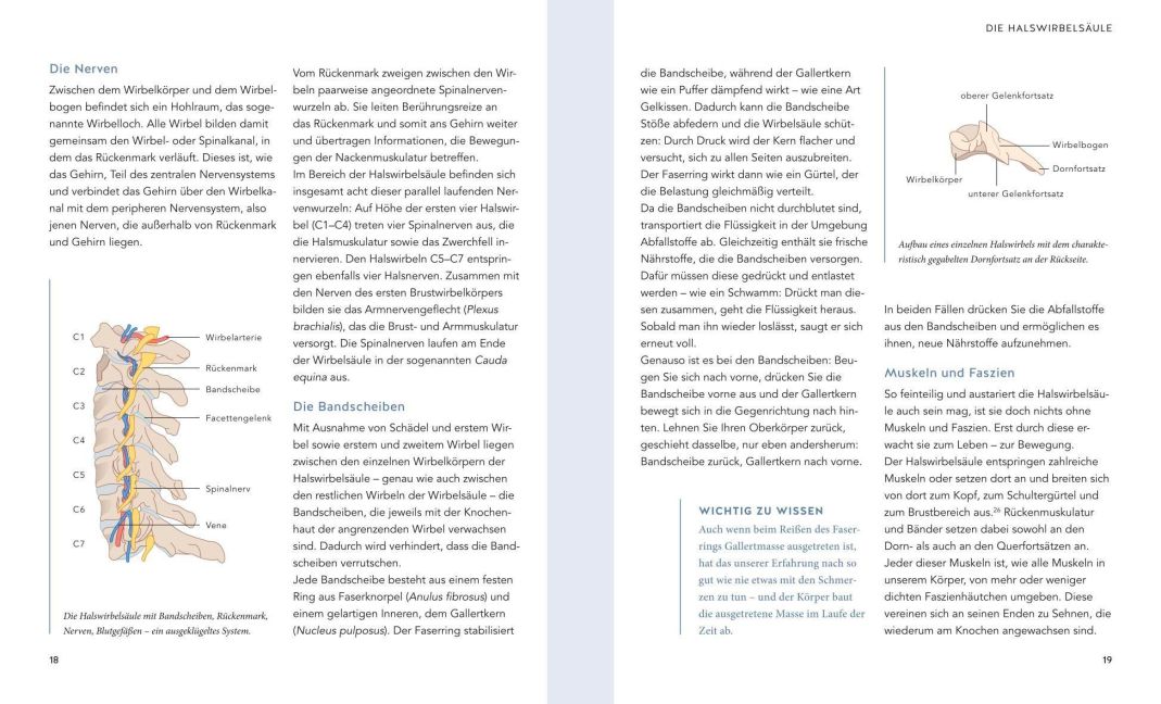 InsideView 3
