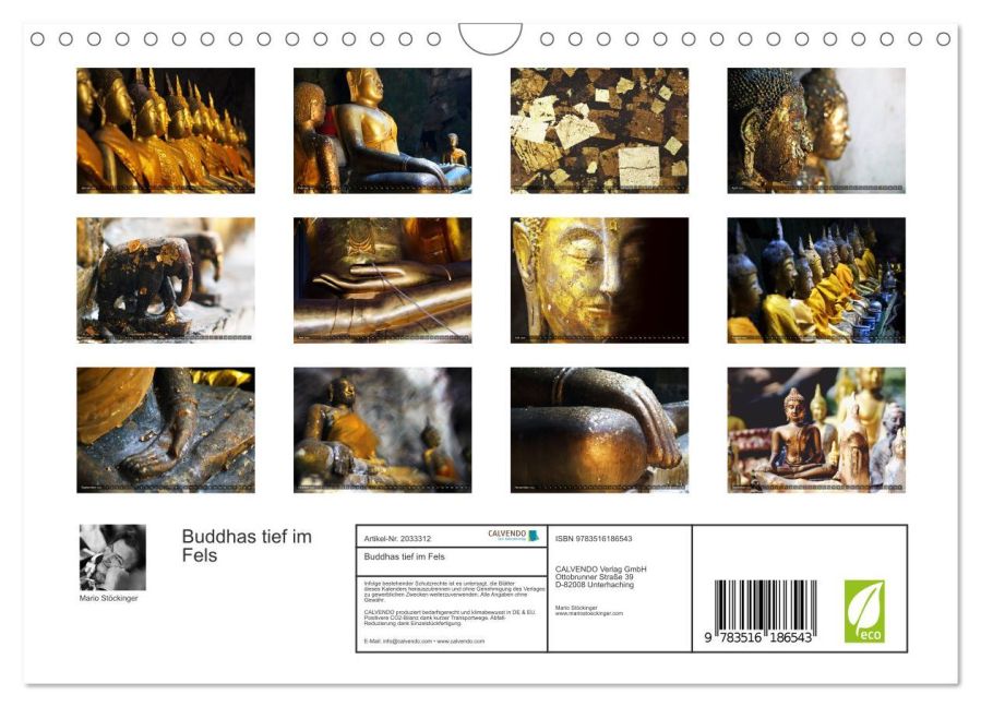 InsideView 5