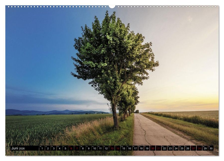 InsideView 10