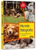 Hundefotografie - das perfekte Hunde Foto - Helma Spona