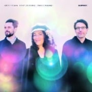 Cover-Bild zum Titel 'Surprise !' von 'Besson/Sternal/Burgwinkel Trio'