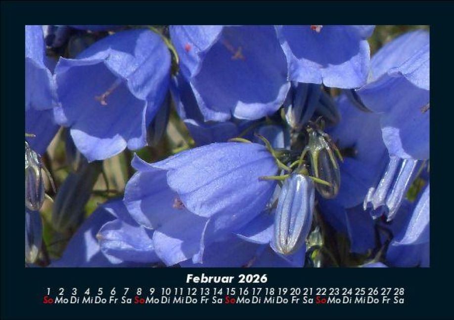 InsideView 6